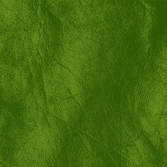 Obraz premium Green Grunge Background