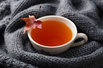 Tea cup with autumn leaves. Grey background. Close up.