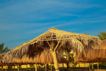 Fototapeta na wymiar Empty sunny beach of Egyptian hotel resort. Horizontal color photography.