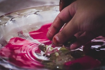 water bowl contains artifacts