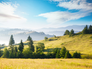 Awesome alpine highlands in sunny day. Location Carpathian national park, Ukraine, Europe.