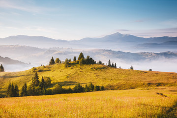 Awesome alpine highlands in sunny day. Location Carpathian national park, Ukraine, Europe.