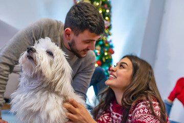 Young laughing couple in sweaters sitting on carpet near fir tree with dog and holding presents.
