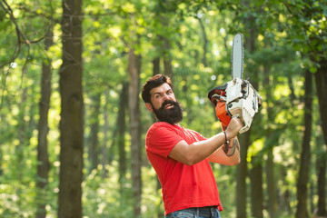 Lumberjack worker with chainsaw in the forest. Lumberjack worker walking in the forest with chainsaw. Deforestation. A handsome young man with a beard carries a tree.
