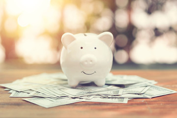Piggy Bank on money bank note dollar on wood table in the public park.money saving financial...