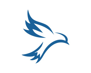 Fototapeta na wymiar abstract bird logo template 2