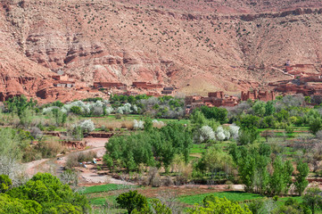 Street of the Kasbahs / Kasbahs in Dades valley in the south of Morocco, Africa.
