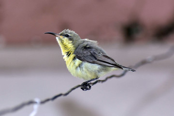 Nature Beautiful