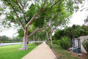 Beverly Gardens Park on Santa Monica Blvd, Beverly Hills - California