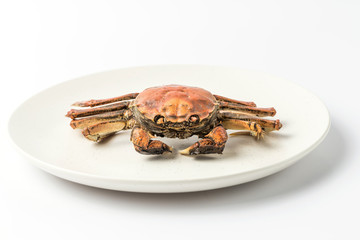 Crab on a white background