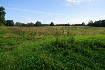 Feldbrache an der Trave