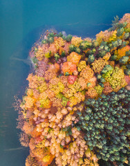 Fototapeta na wymiar Autumn-colored peninsula