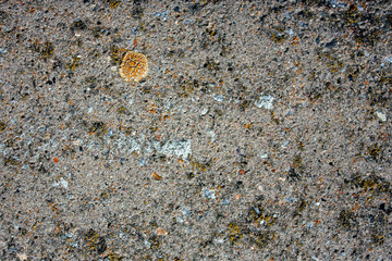 Top view of hardened concrete mortar with a predominance of silicate sand on the surface