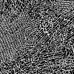 A Halftone random dotted pattern. The design dots, shapes, lines, circles. Futuristic concept geometric graphic illustrated background