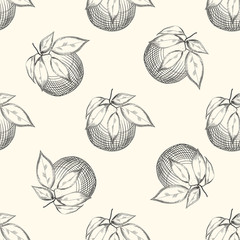 Orange fruit sketch seamless patter. Exotic tropical fruit.