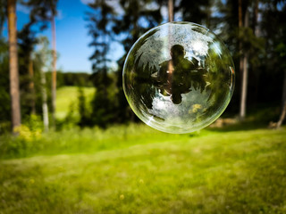 Soap bubble with green nature forest in the background