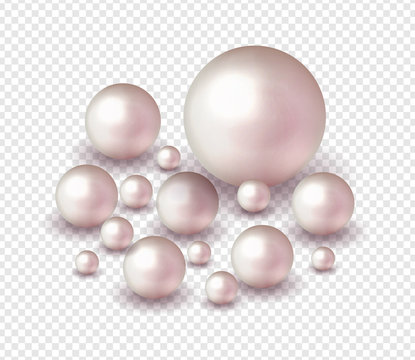 Pack nature ,sea pearl background with small and big white pearls . Vector illustration