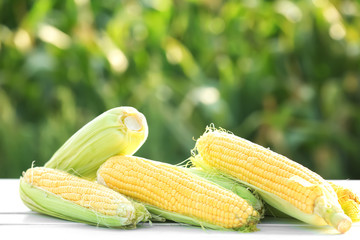 Fresh corn cobs on table outdoors