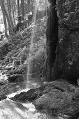 Wasserfall in St.Blasien im Hochschwarzwald, Baden-Württemberg - water fall in a gorge of the...