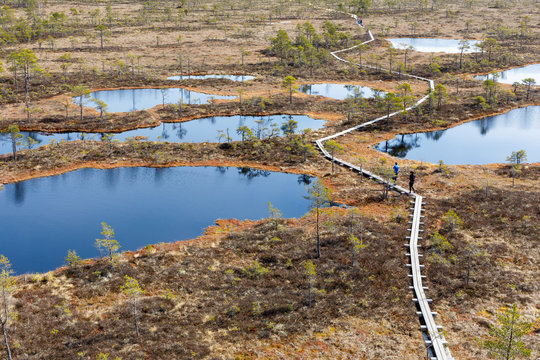 Footpath between lakes in Estonian bog