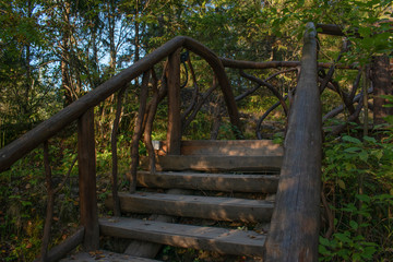 Fototapeta premium wooden bridge in the forest