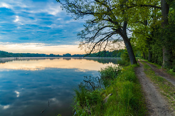 Pond near Trebon, South Bohemia, Czecg Republic