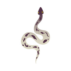 Gray poisonous snake with spots and wild animal python.
