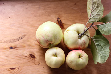 apples on the wooden table