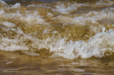 Fototapeta na wymiar Wild seashore of the Baltic Sea with foam waves.