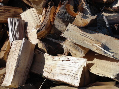 Brennholz