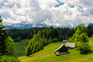 Triglavski national park near Bohinj lake, Slovenia
