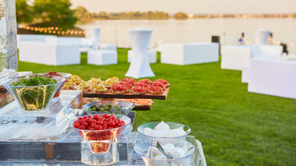 Italian antipasti wine snacks set on ice