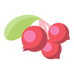 Cranberry icon. Minimal style berry. Vector illustration