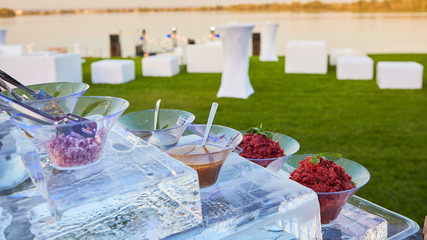 Italian antipasti wine snacks set on ice