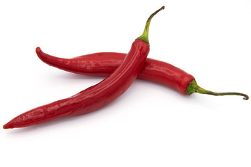 red chilli on a white background 