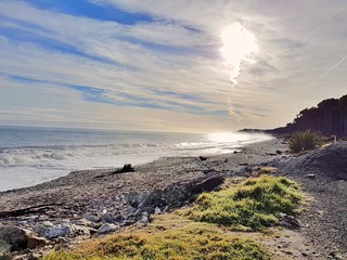 New Zealand West Coast