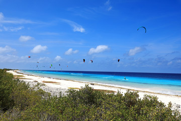 Fototapeta na wymiar Kite boarding on Bonaire island