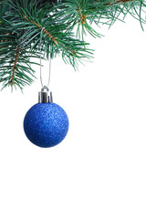 Blue Christmas ball hanging on fir tree branch against white background