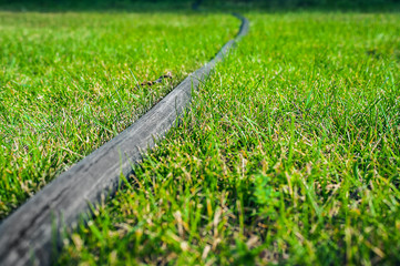 Low Angle View of Black Rubber Garden Hose on Green Lawn. Gardening Concept. Copy Space.