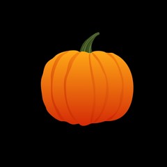Vector illustration. Halloween Pumpkin. Small pumpkin with a sharp tail on a black background