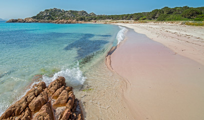 Spiaggia Rosa, Arcipelago di La Maddalena, Sardegna. Pink beach in Sardinia - obrazy, fototapety, plakaty