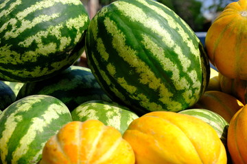  Watermelons in the city market