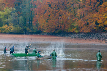 Obraz na płótnie Canvas harvesting pond in Czech Republic