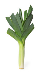 Obraz premium Fresh raw leek on white background. Ripe onion
