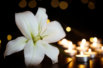 White lily and burning candles on table in darkness. Funeral symbol