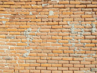 Old brick wall. Background for interior design.
