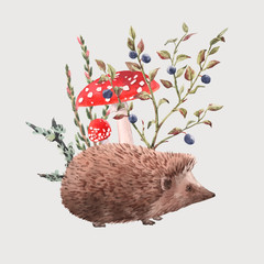 Watercolor hedgehog vector illustration © zenina