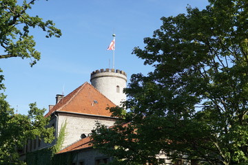 Fototapete bei efototapeten.de bestellen   