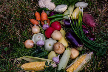 A bunch of ripe natural vegetables. Raw ripe vegetables in a wooden box. The concept of healthy and vegetarian food.