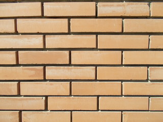 Old brick wall. Background for interior design.